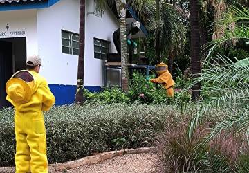 Corpo de Bombeiros remove enxame de abelhas que estava em telhado de banheiro de Parque Municipal