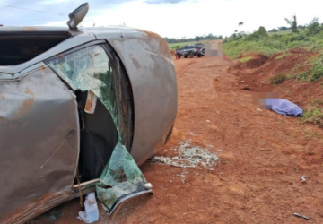 Motorista perde controle ao desviar de cão, capota carro e vem a óbito