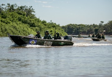 Batalhão Ambiental da PM aplicou mais de R$ 176 milhões em multas em 2024