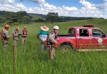 Avião de pequeno porte cai em fazenda de MT e piloto sobrevive