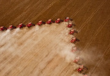 Mato Grosso deve registrar 2º maior PIB do país com destaque para agropecuária, aponta Banco do Brasil