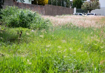 Secretaria de Agricultura e Meio Ambiente intensifica fiscalização a terrenos baldios