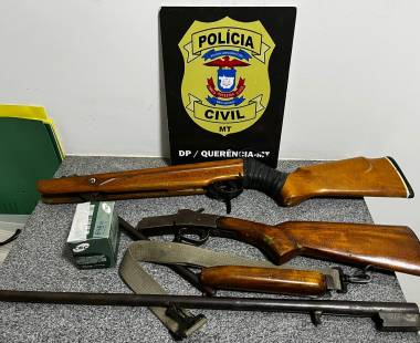 Polícia Civil cumpre mandados e apreende armas em investigações de homicídio de advogado em Goiás