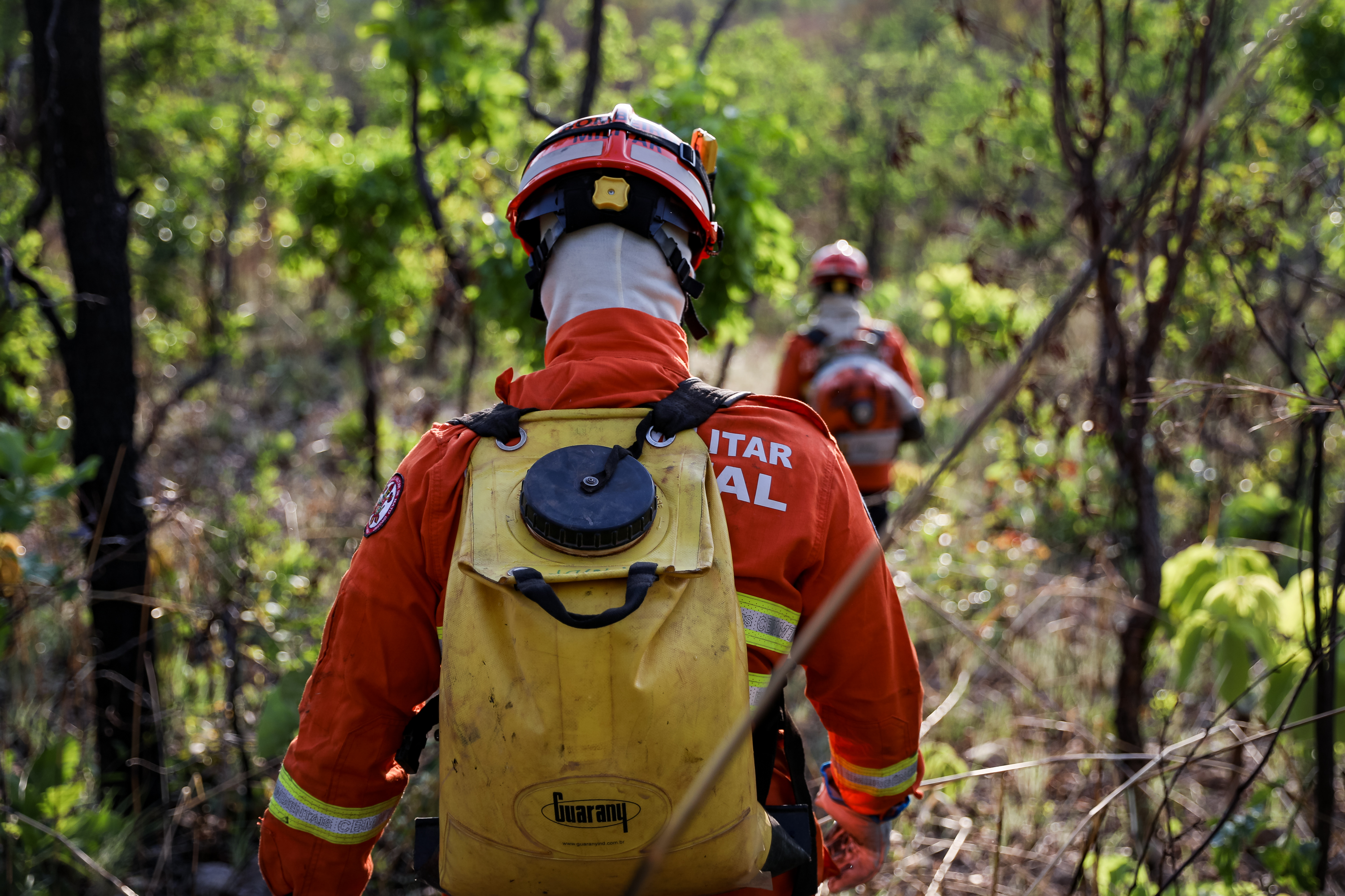 Bombeiros de MT combatem 31 incêndios florestais nesta terça-feira (17)