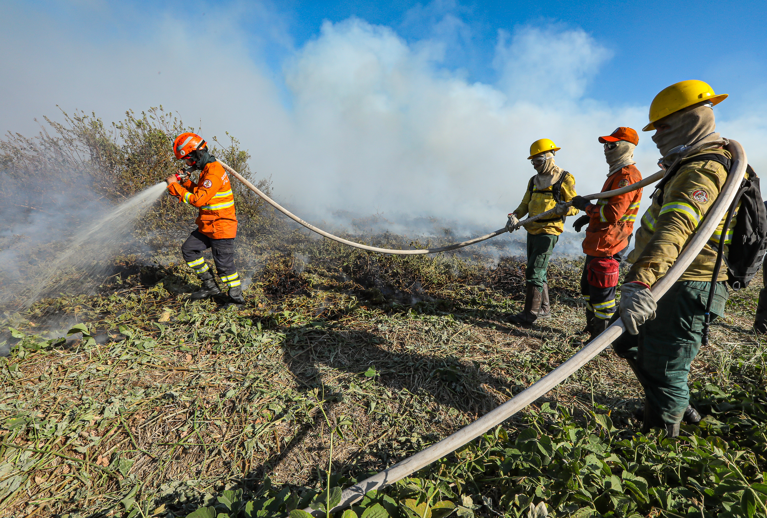 Corpo de Bombeiros combate 32 incêndios florestais em Mato Grosso nesta quarta-feira (18)