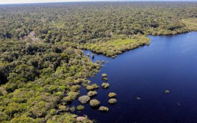 Petrobras e BNDES fazem parceria para restauração na Amazônia