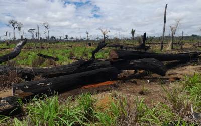 Forças de segurança fiscalizam fazendas no noroeste de MT e aplicam cerca de R$ 24,2 milhões em multas