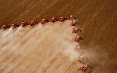 Mato Grosso deve registrar 2º maior PIB do país com destaque para agropecuária, aponta Banco do Brasil