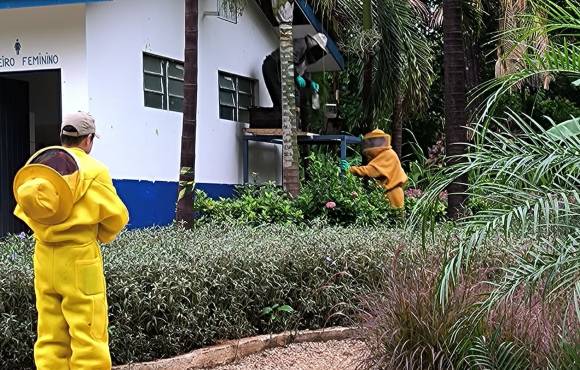 Corpo de Bombeiros remove enxame de abelhas que estava em telhado de banheiro de Parque Municipal