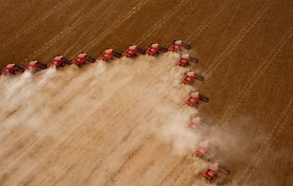 Mato Grosso deve registrar 2º maior PIB do país com destaque para agropecuária, aponta Banco do Brasil