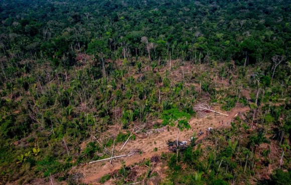 Governo de MT veta projeto que previa reclassificação de áreas da Amazônia e Cerrado