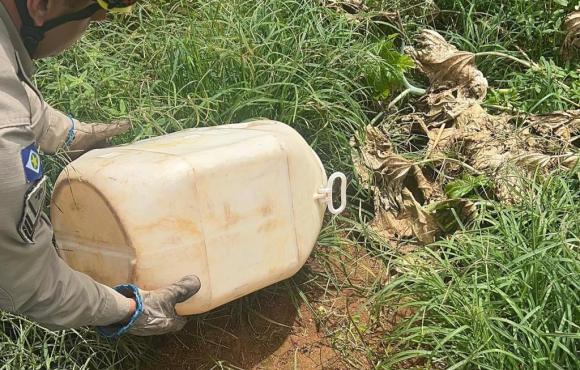 Bombeiros capturam sucuri que estava em oficina em Campo Verde